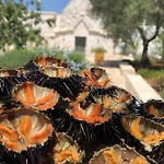 Villa Trullo Genesi Cisternino