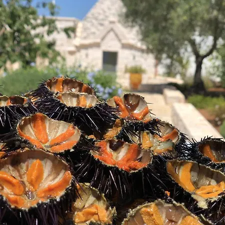 Willa Trullo Genesi Cisternino