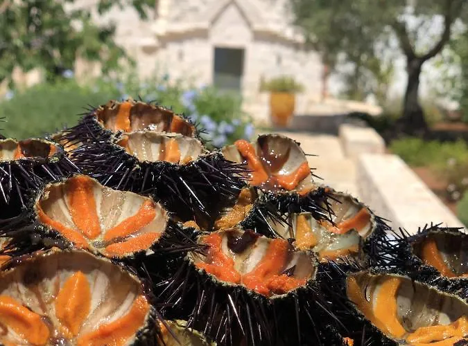 Villa Trullo Genesi Cisternino