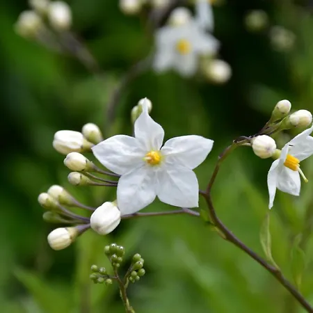 Trullo Genesi ヴィラ