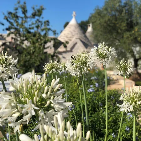 ヴィラ Trullo Genesi